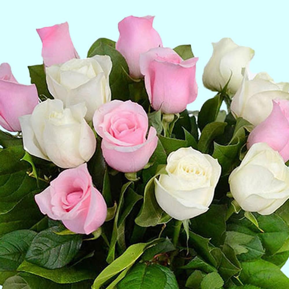 Pink And White Roses Bunch