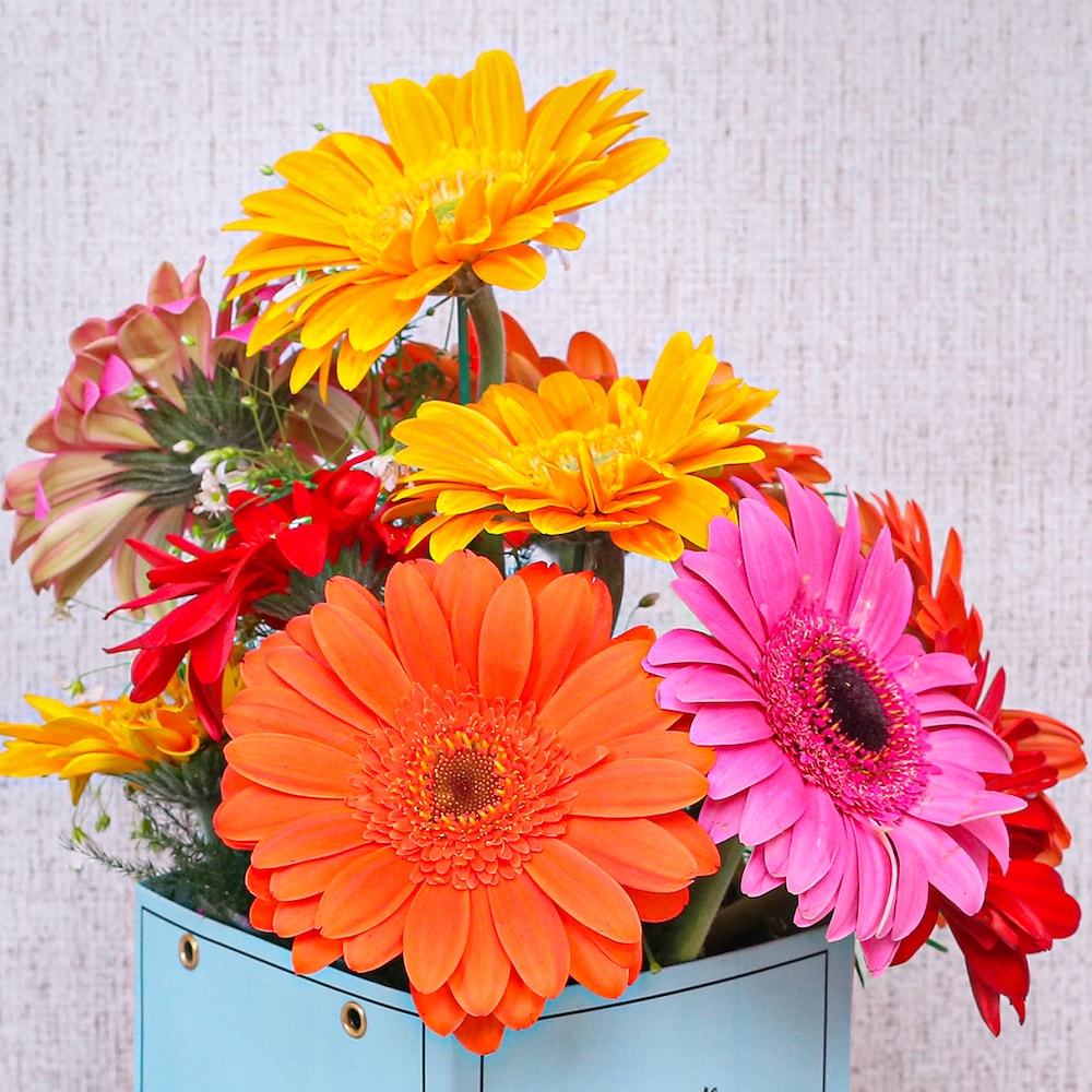 Fluorescence Box Of Love