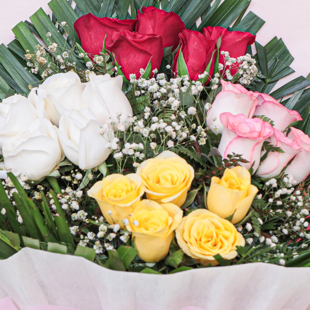 Sweet Roses Bunch Combo