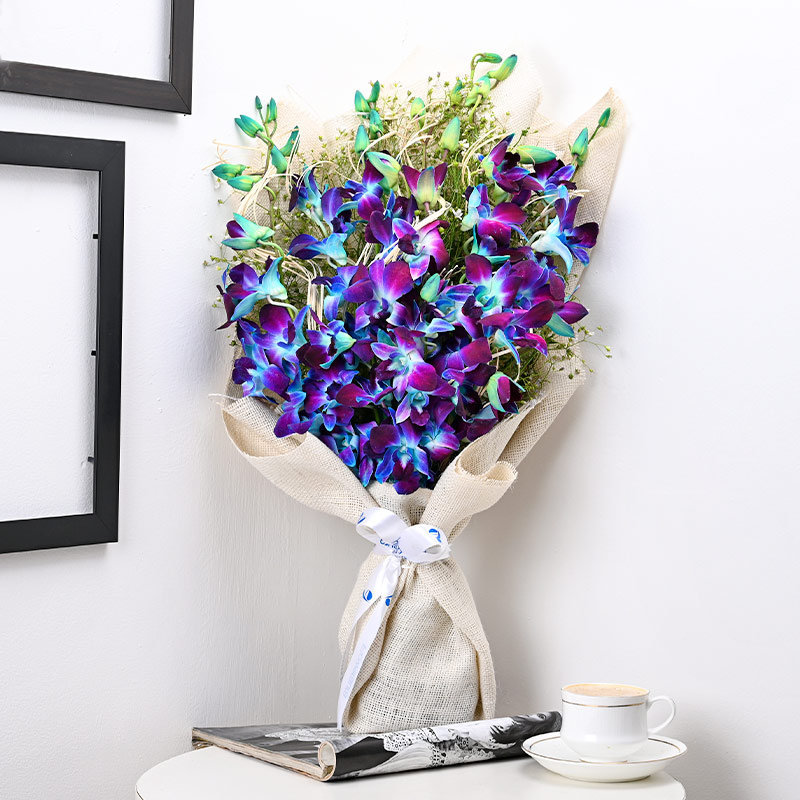 Orchids