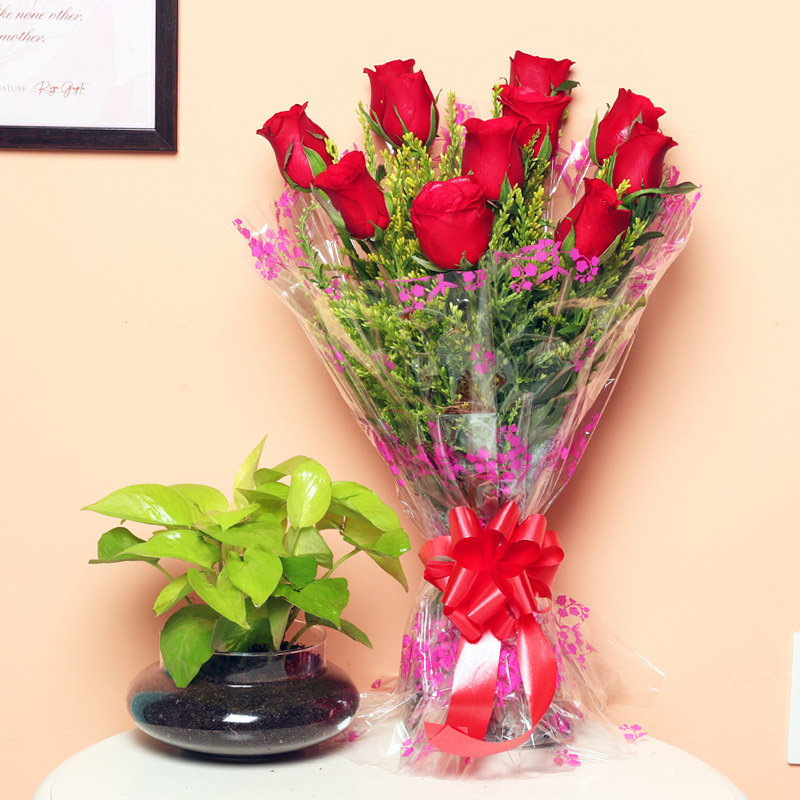 Money Plant With Roses