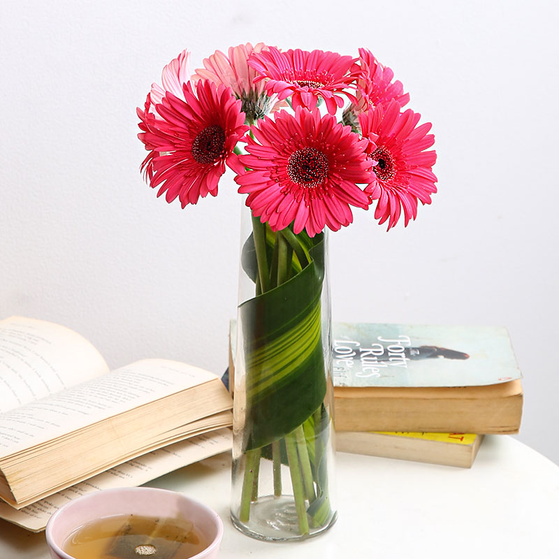 Pink gerberas
