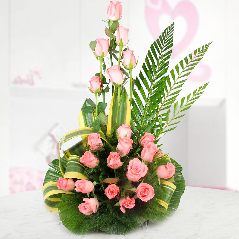 Pink Elan
