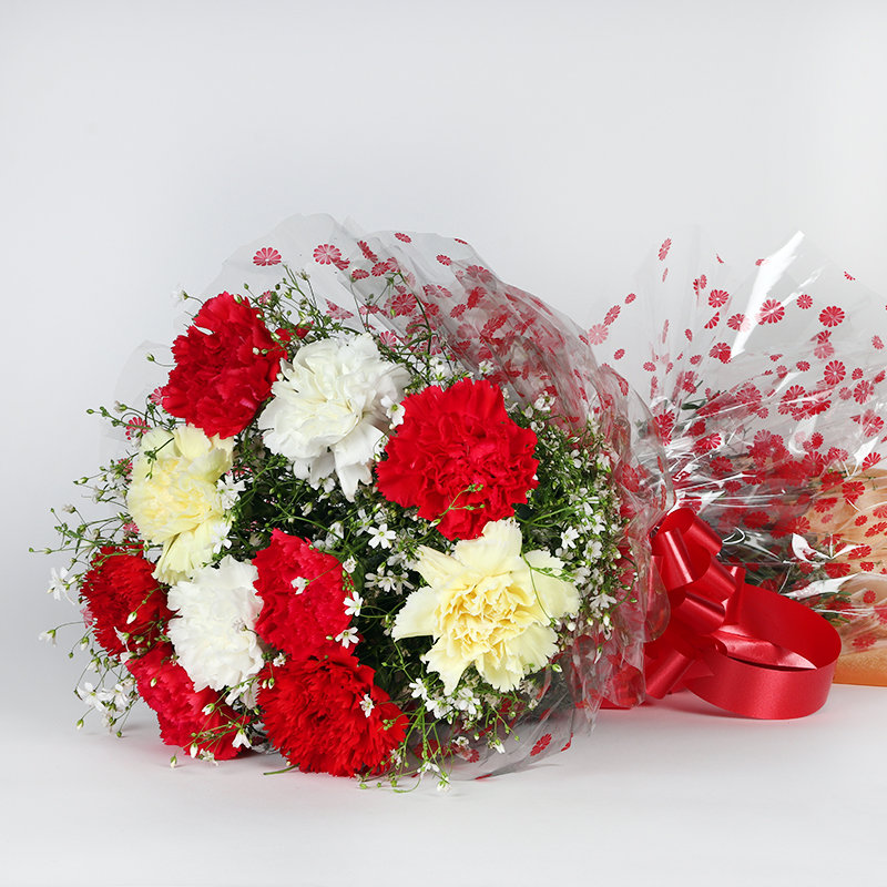 Colorful Mixed Carnations Bunch
