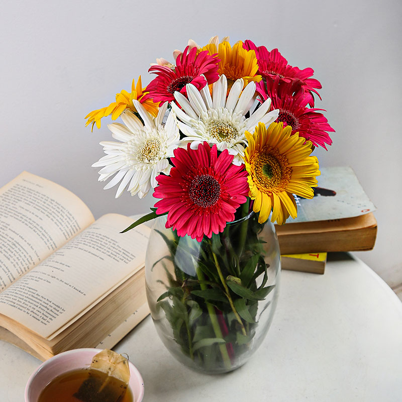 Mixed color Gerberas