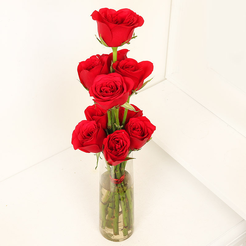 Innocent Red Love