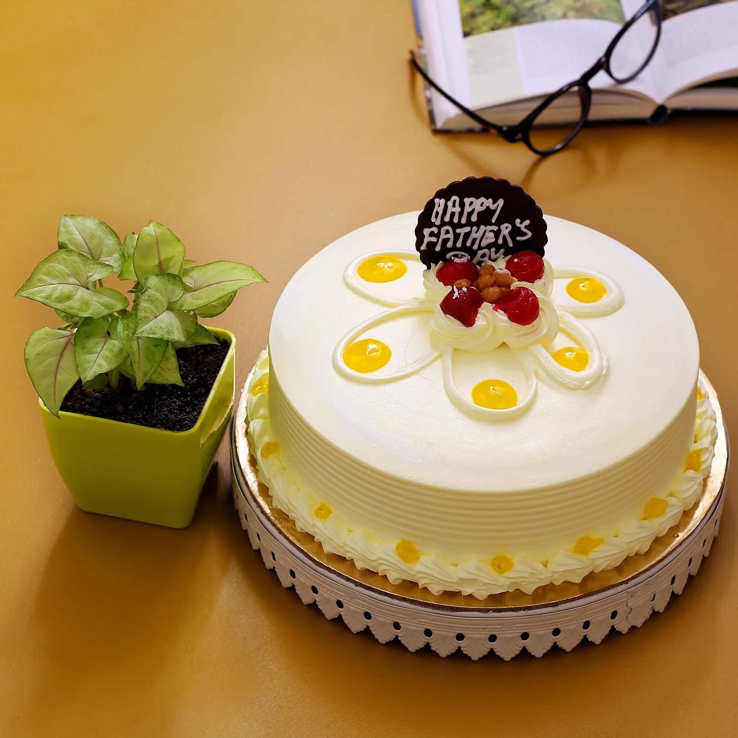 Syngonium Plant Butterscotch Cake Combo