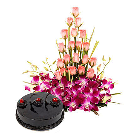 Colour N Cake Combo
