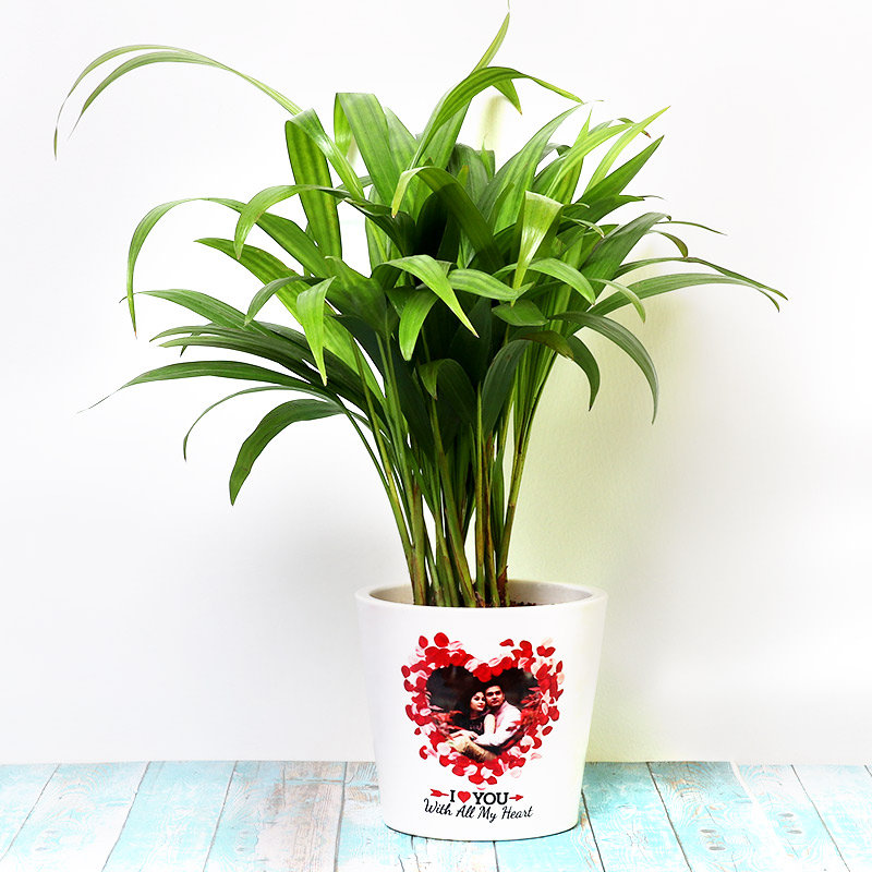 Personalised Love Palm