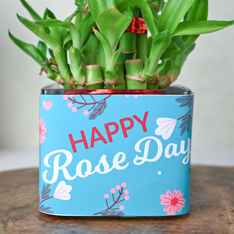 Personalised Lucky Bamboo Love