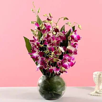 Gorgeous Purple Orchid Bunch