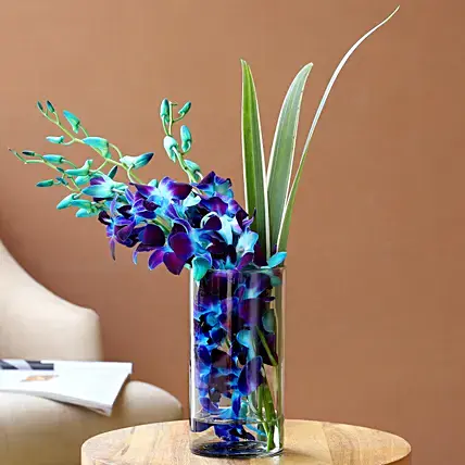 Lovely Orchids & Dandella In Cylindrical Vase