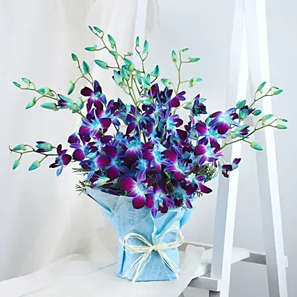 Colours Of Galaxy Orchids Bouquet