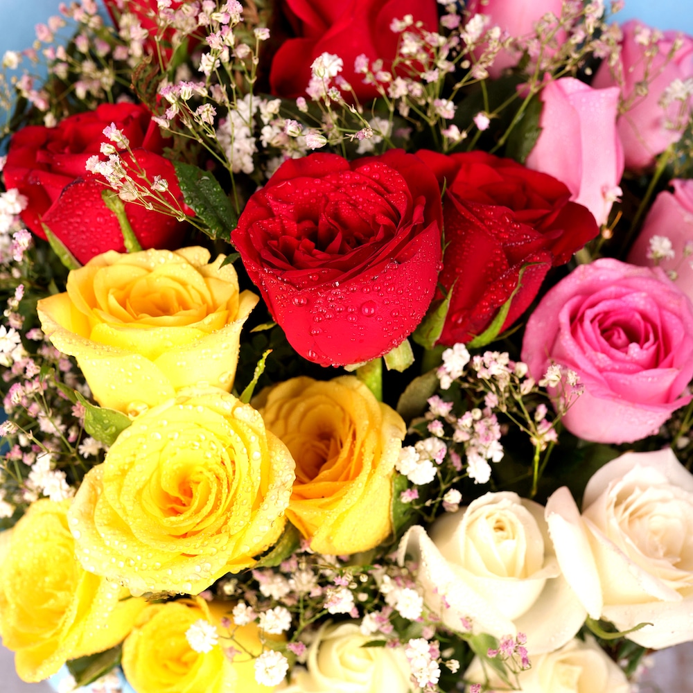 Floral Fantasy Mix Roses