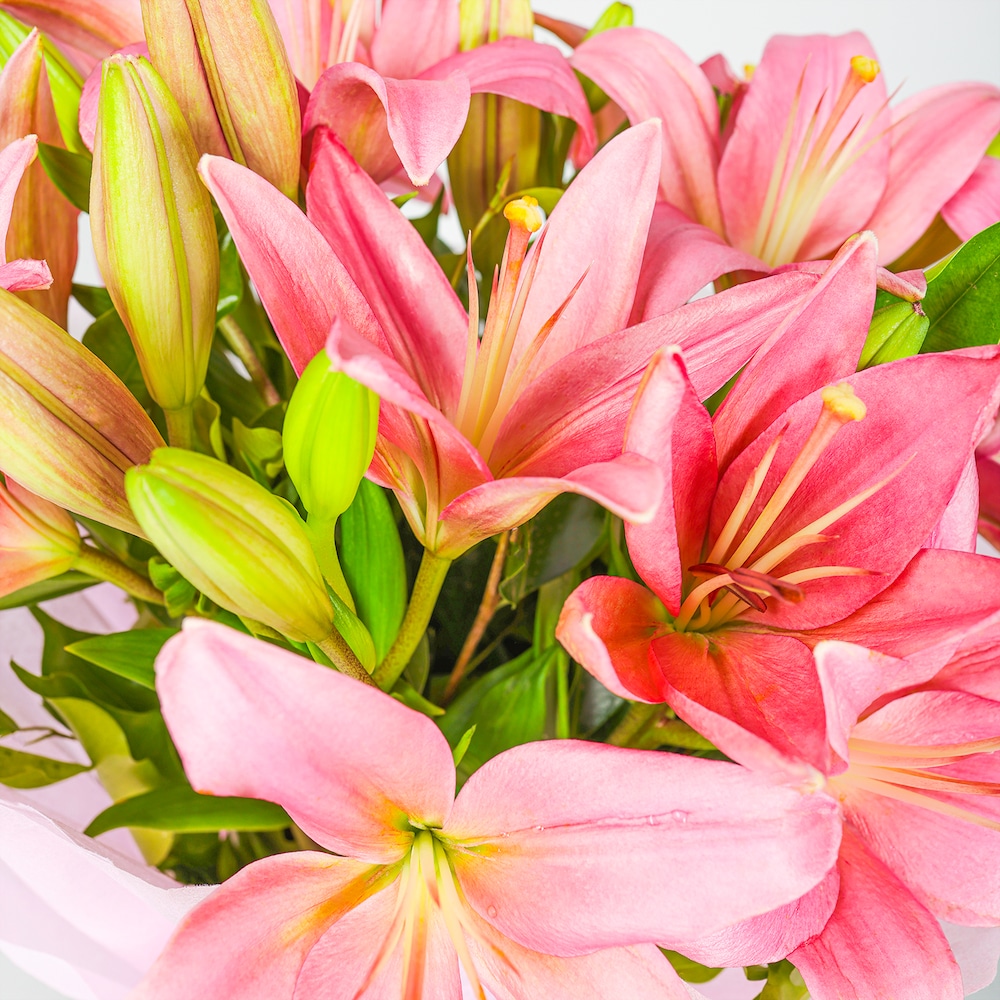 Beautiful Pink Lilies Bunch