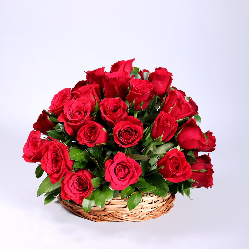 Red Roses Love