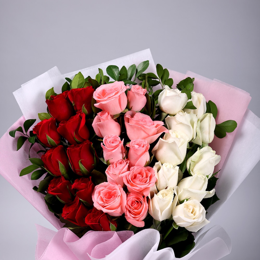 Shades Of Roses