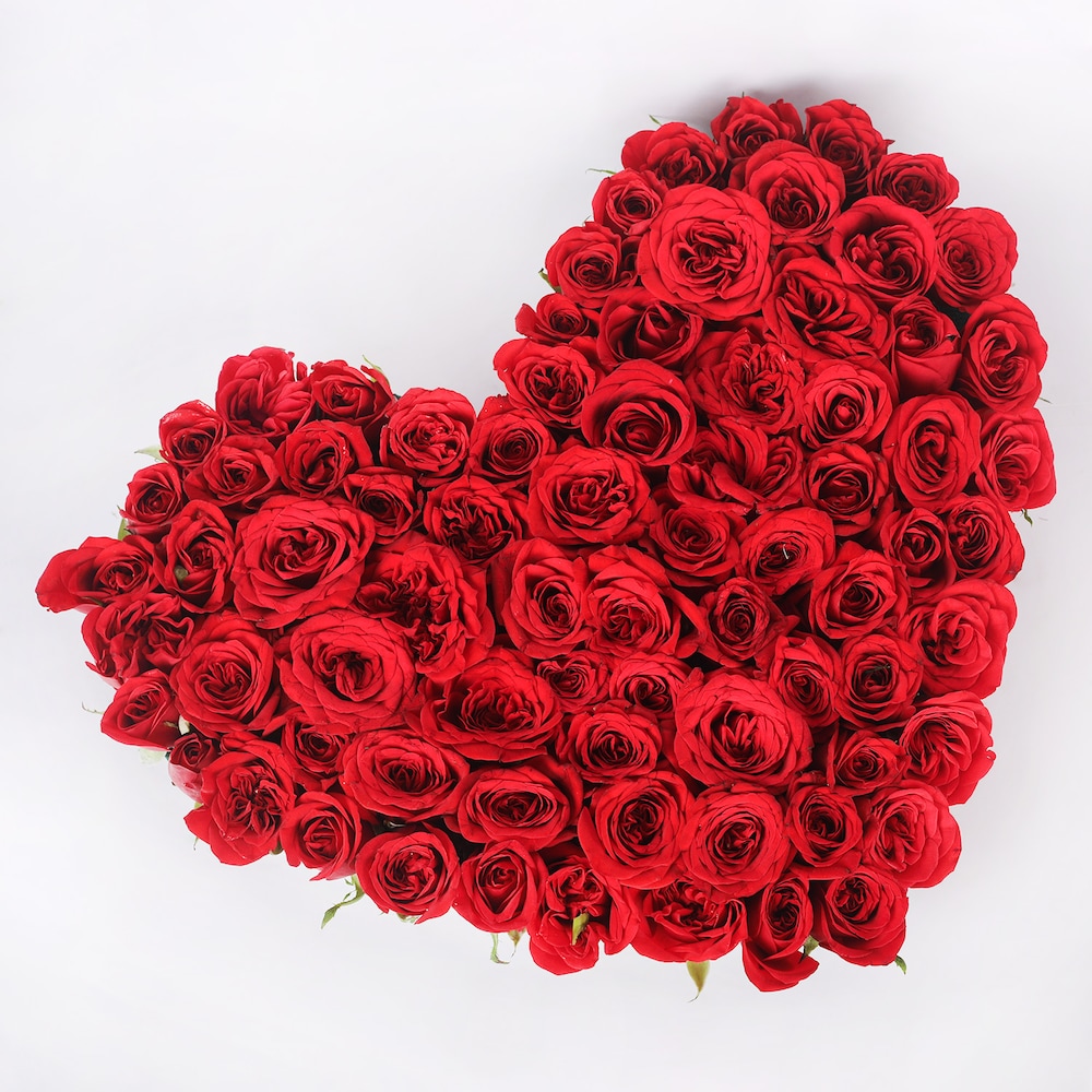 Affection With Rose