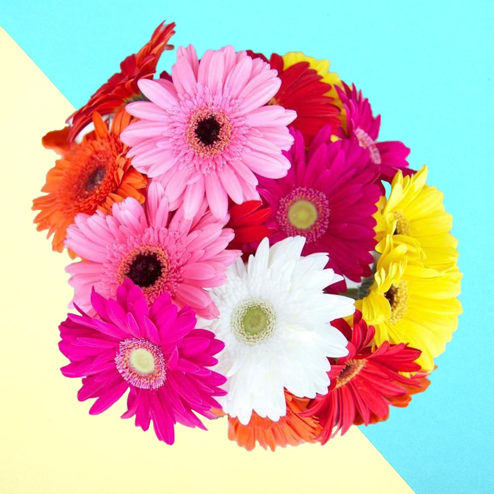 Sweet Wishes A Bunch Of Multicolored Gerbera Flowers