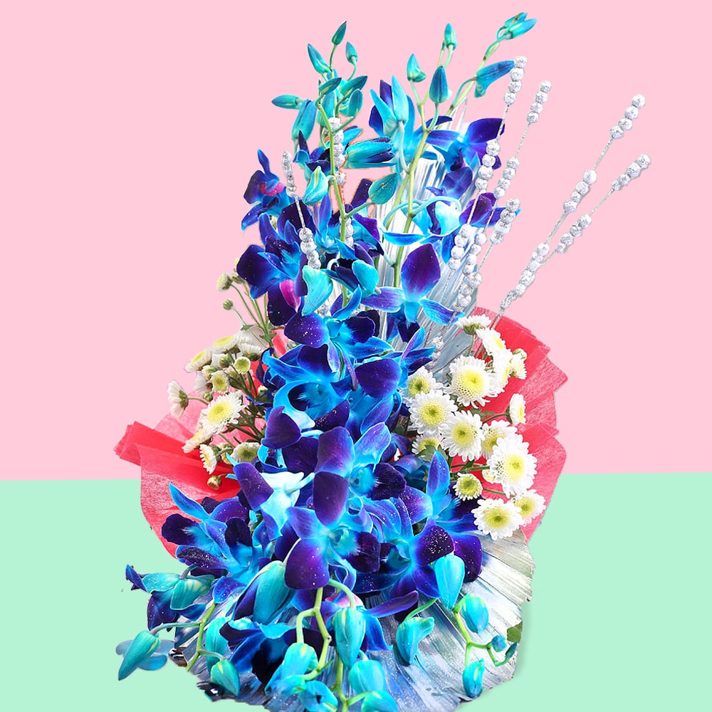 Paradise Of Happiness