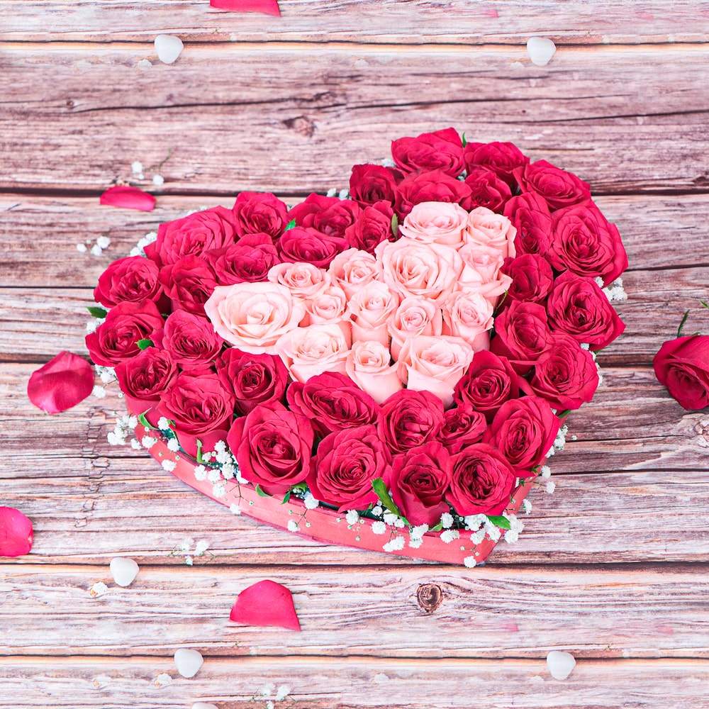 HeartShaped Pink And Red Roses