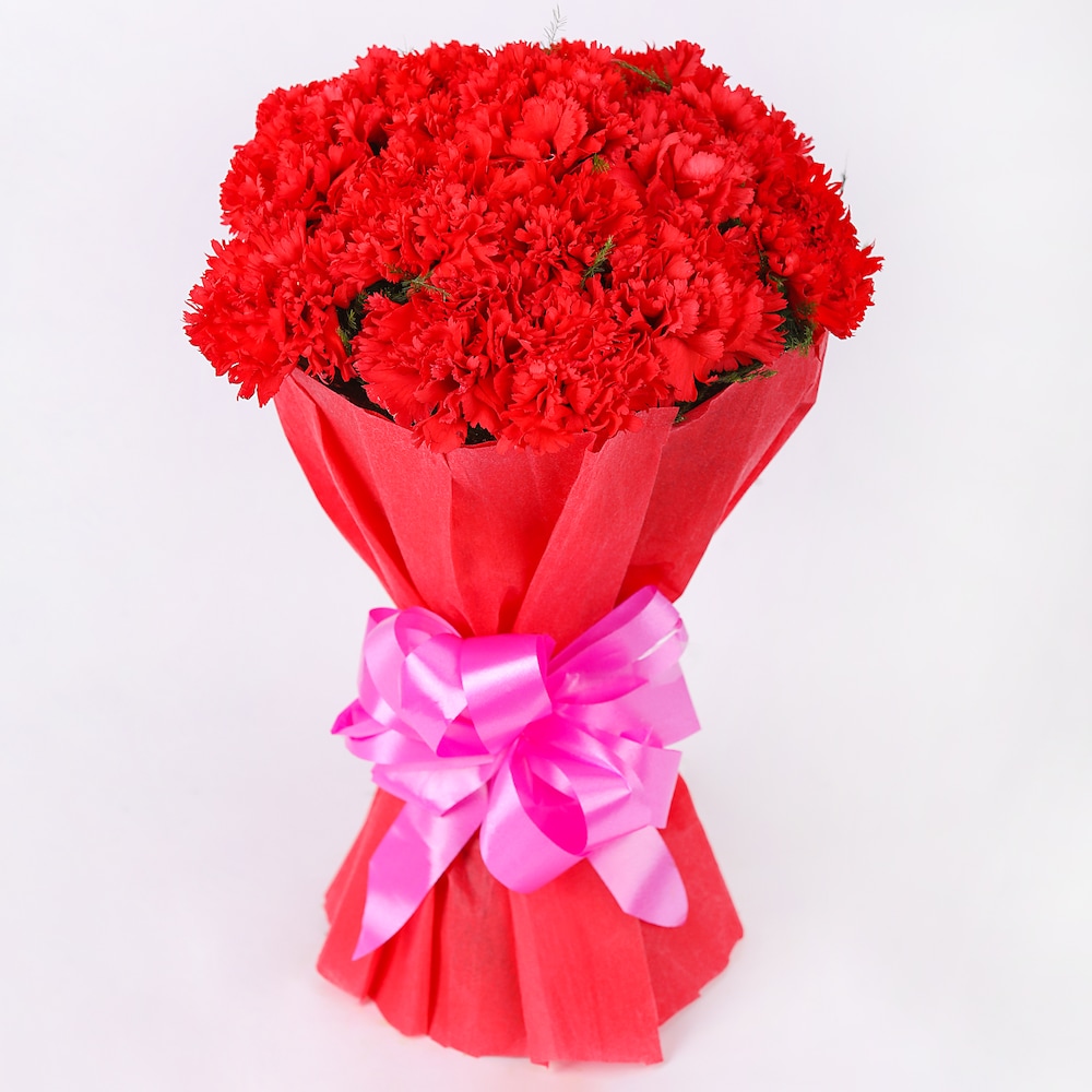 Carpet Of Carnation
