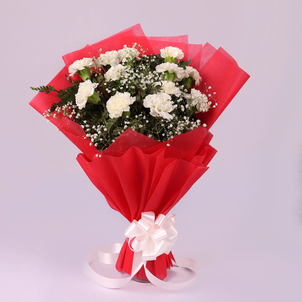 Lovely White Carnation