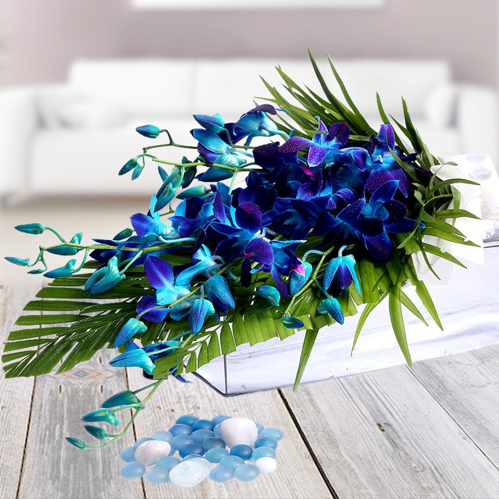 Bouquet Of Orchids