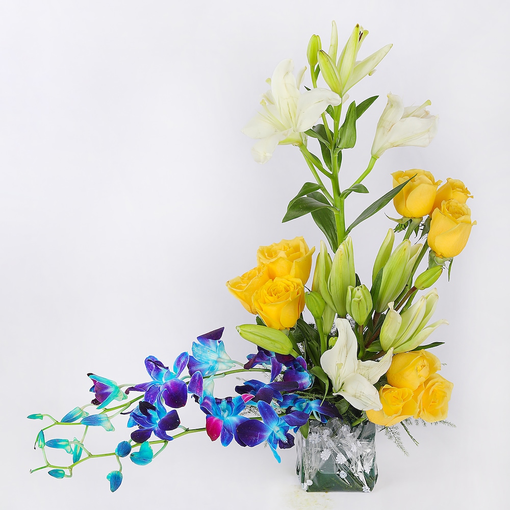 Blissfull Lillies