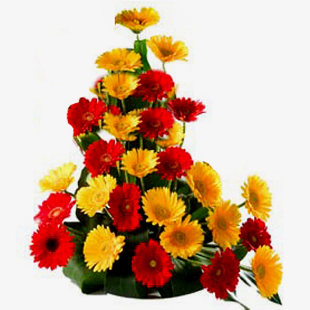 Basket Of Mixed Color Gerbera