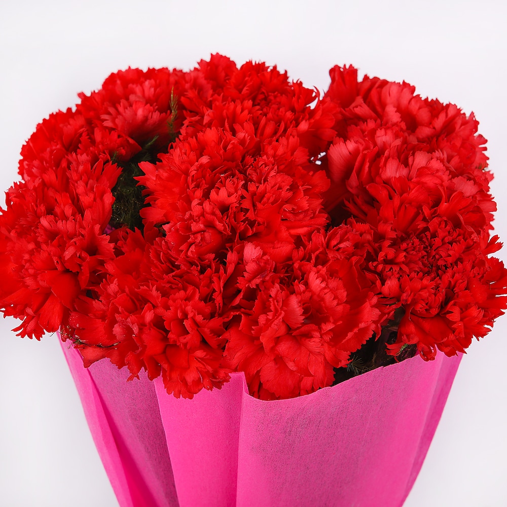 Power Of Carnations