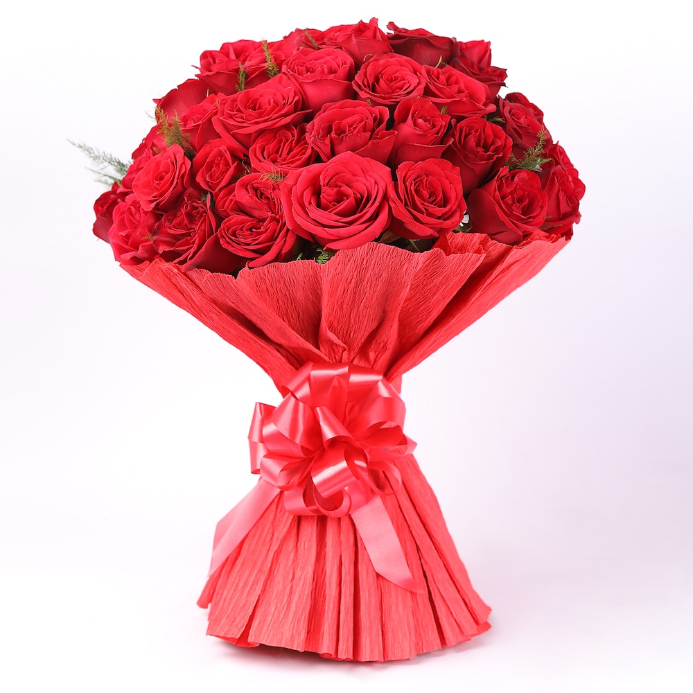 Feel The Magic Rose