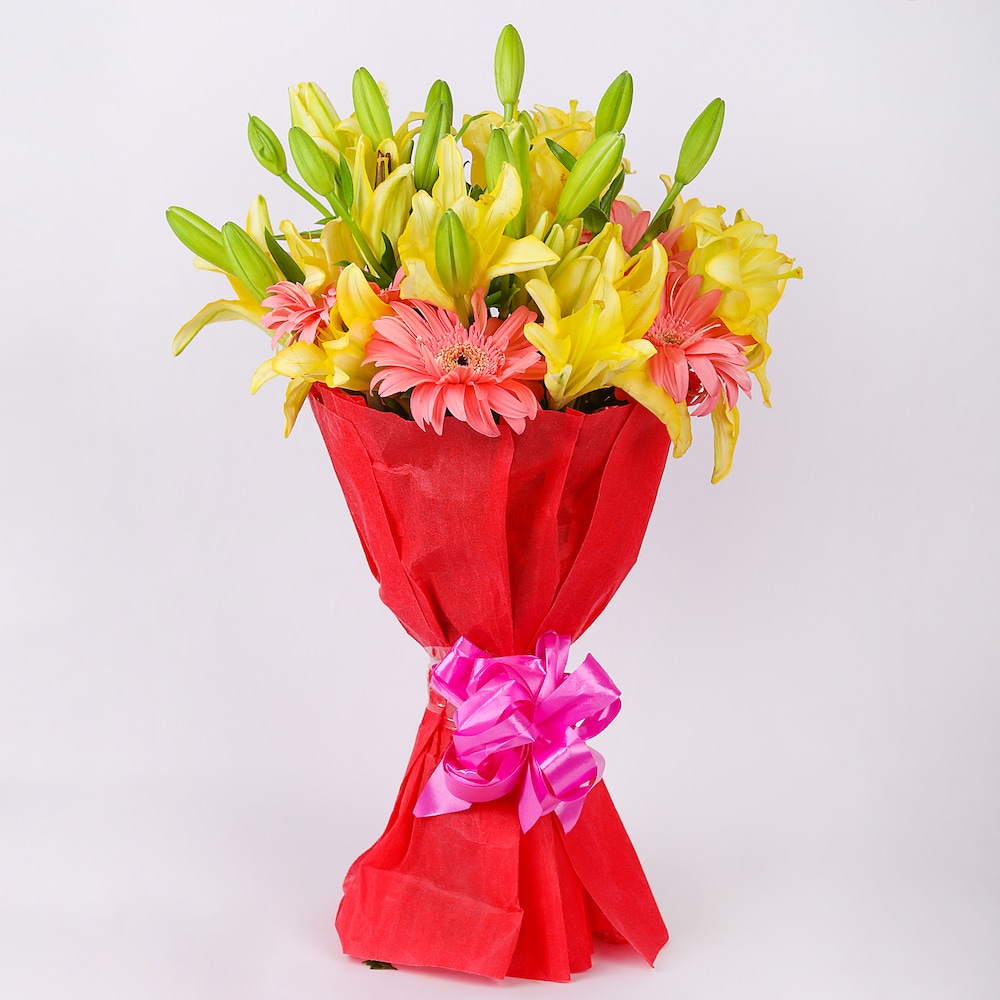 Inherent Gerberas