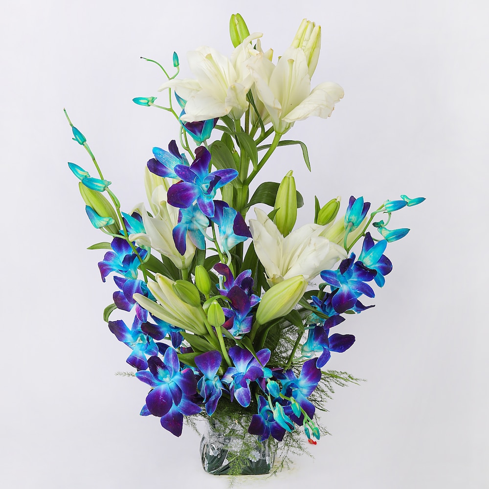 Energetic Blooms
