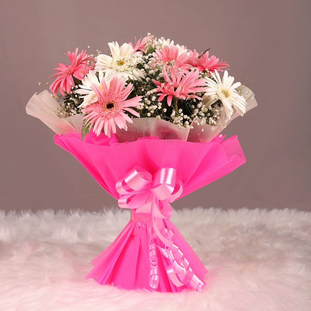 Blooming Pink Gerbera